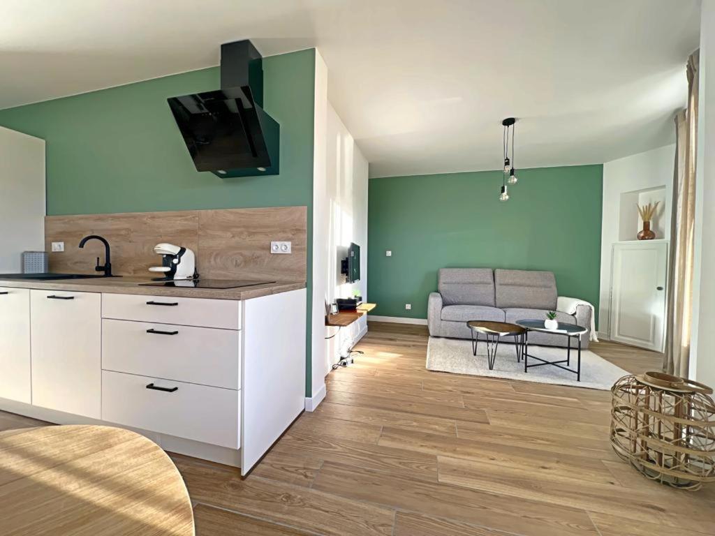 Appartement Coup De Coeur. St Etienne-Rochetaillee Saint-Etienne  Exterior foto